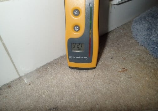 Carpet Did Not Show Elevated Moisture