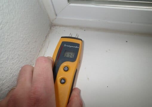 No Moisture Found around Window