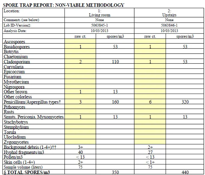 A Guide to Interpreting Mold Test Results - GreenWorks