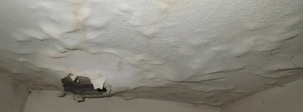 Roof Leaks Mold Ca By A Leaking
