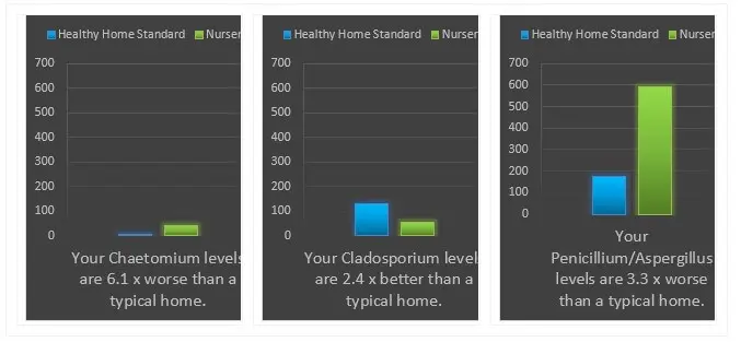 Seattle Mold Abatement Results