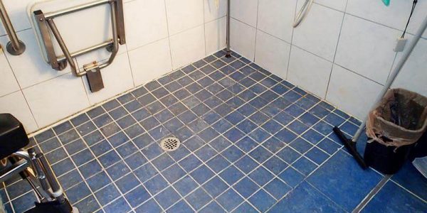 Mold in the shower | Causes & How to Clean It - Environix