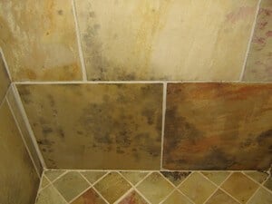 mold on shower tile