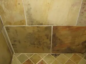 mold on shower tile