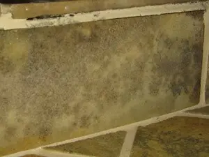 how to get rid of mold in shower caulk