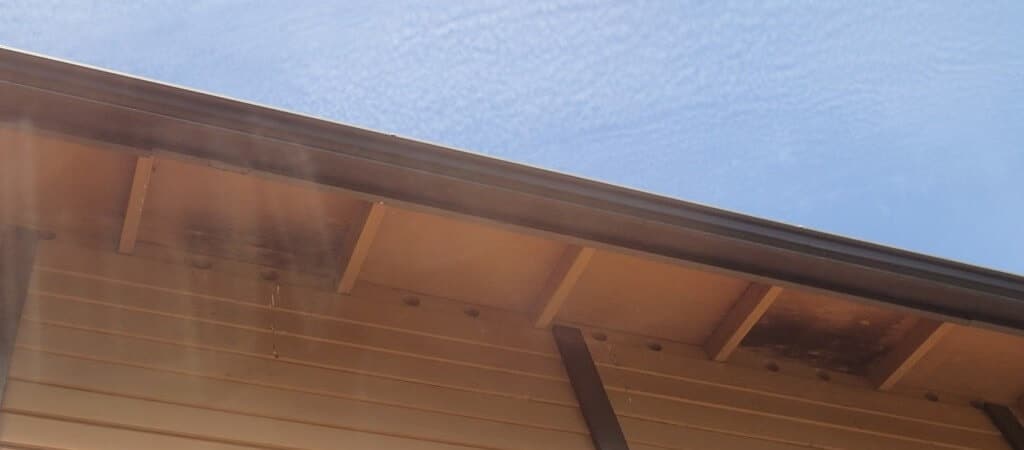 Soffit Mold Growth