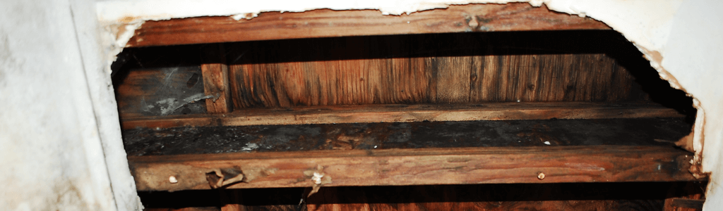 Severe damage from leaky roof