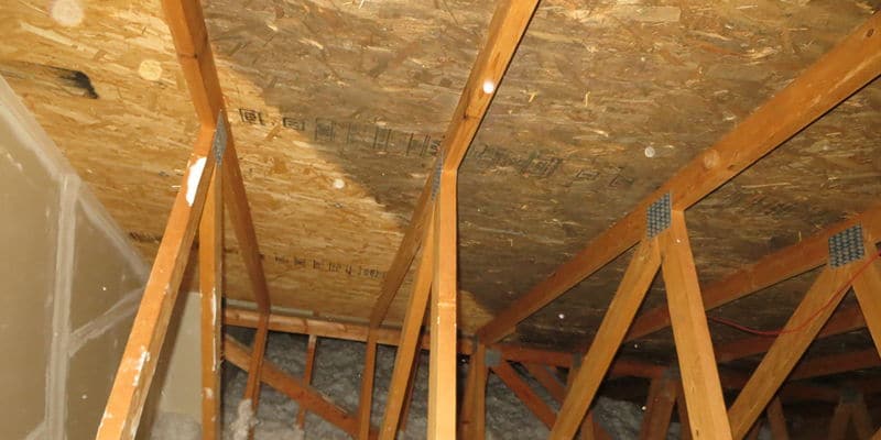 Mold growing in high condensation area.