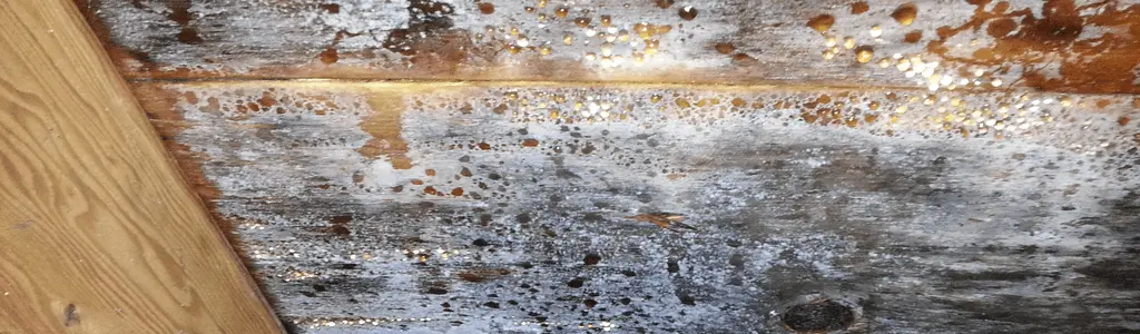 Water droplets on attic due to condensation