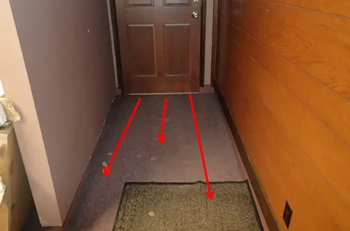 Water intrusion reported at back door affecting surrounding carpet