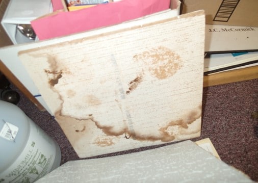Water stains on ceiling tiles from roof leak