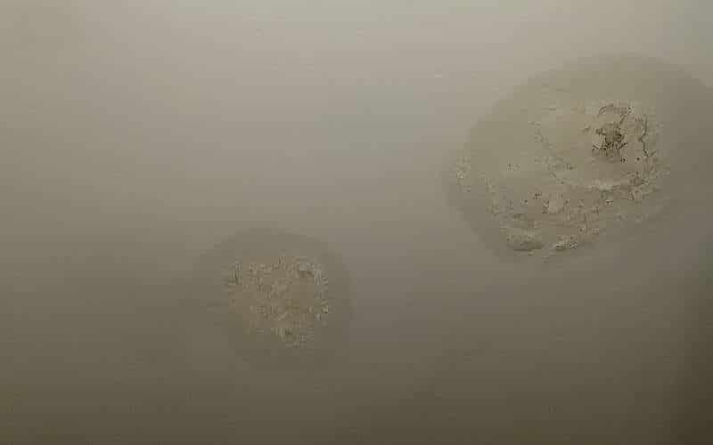 White Fuzzy Mold On Ceiling