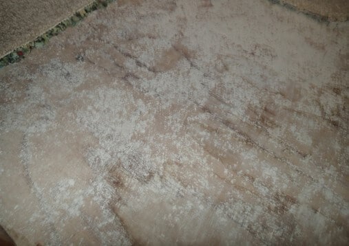 White substance on subfloor is sealant paint, not mold