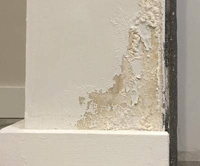 White substance on sheet rock. 