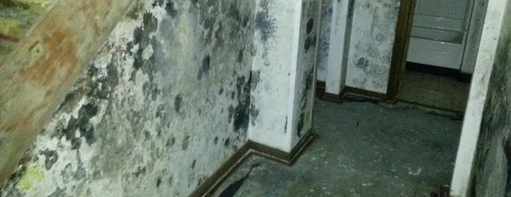 Flooding in basement and mold problems 