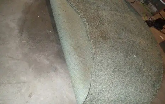 Moldy carpet before testing