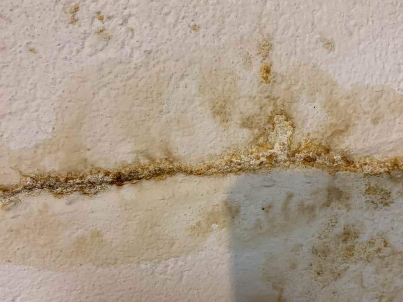 How To Get Rid Of And Prevent Mold Growth On Concrete Environix - How To Check For Mold In Basement Wall