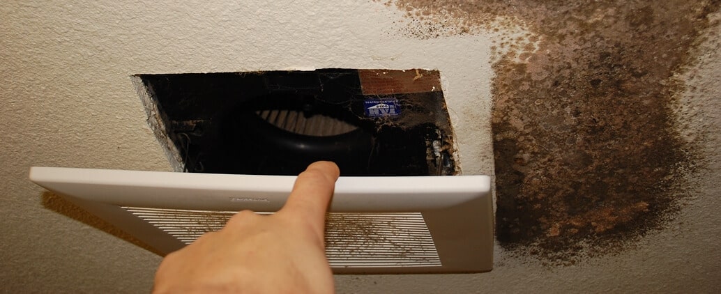 bathroom exhaust fan mold