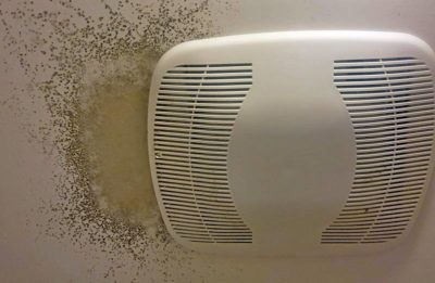 Bathroom Mold | How to Identify and Get Rid of Mold in Bathroom - Environix