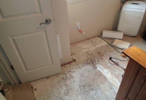Affected carpet removed exposing subfloor