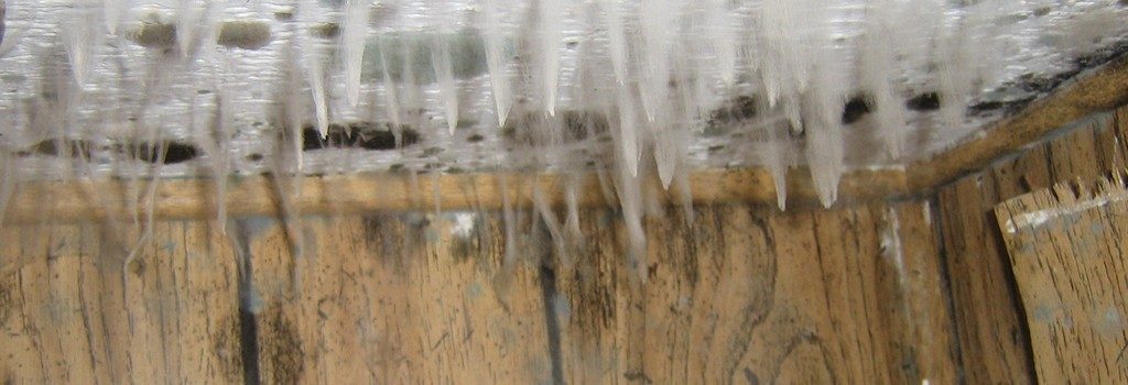 Ceiling Mold Growth Learn The Cause And How To Prevent It