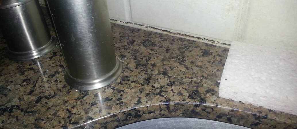 kitchen mold problems
