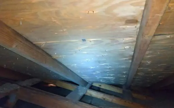 Light mold growing on attic sheathing. 