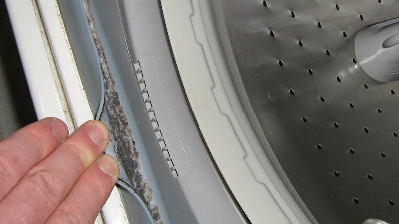 Mildew on clothes washer door.