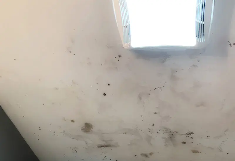 Mold on bathroom ceiling