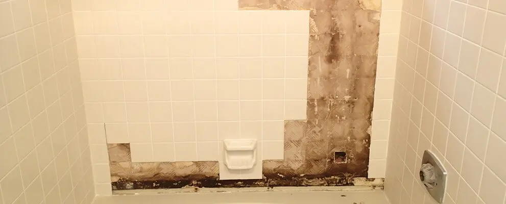Mold Behind Shower Tile