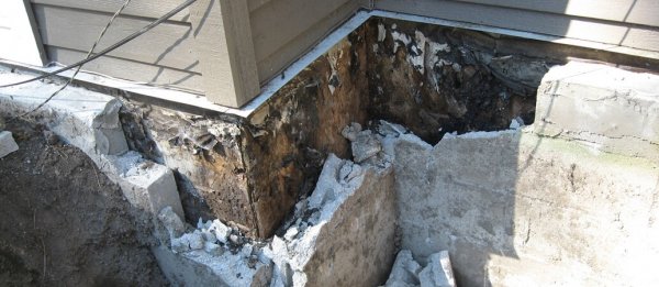 Siding Mold Growth | Causes & Prevention Strategies - Environix