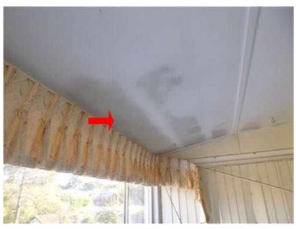 Mold growing on ceiling.