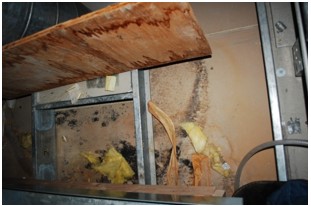 Mold growth noted under drip pans.