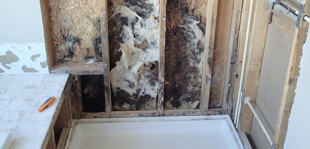 Mold behind shower in bathroom