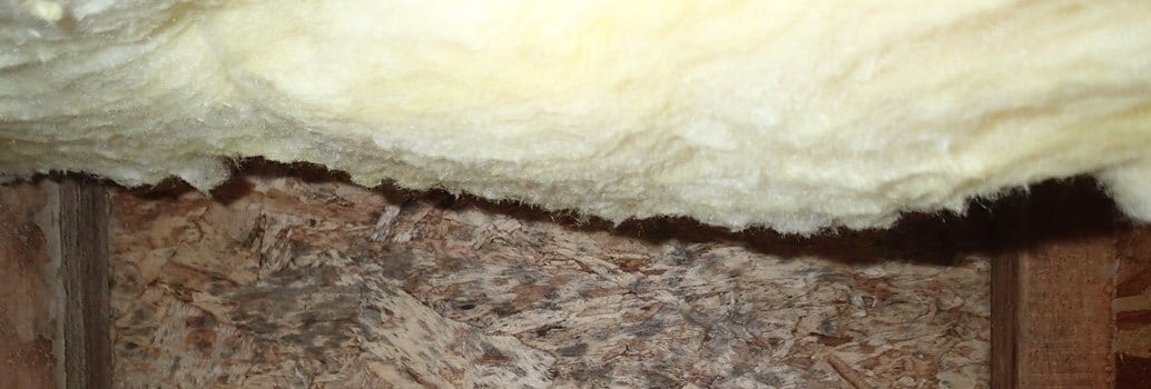 Mold growth on subfloor behind insulation.