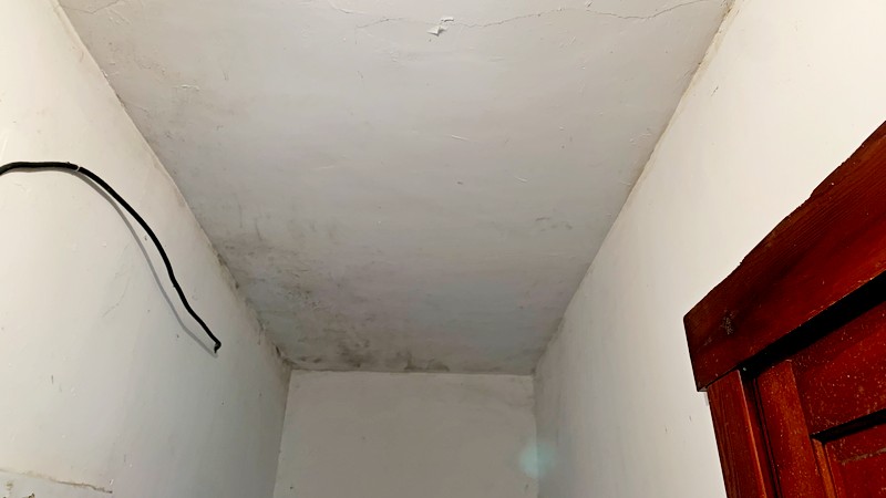 Mold on basement ceiling