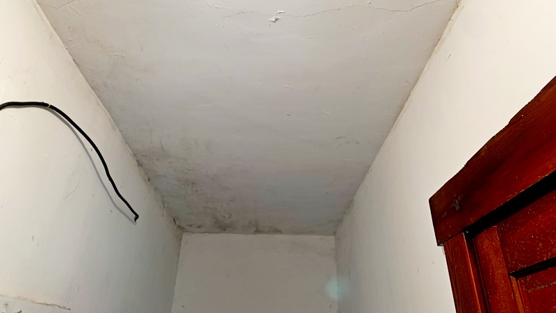 Top 6 Causes of Mold in Your Home