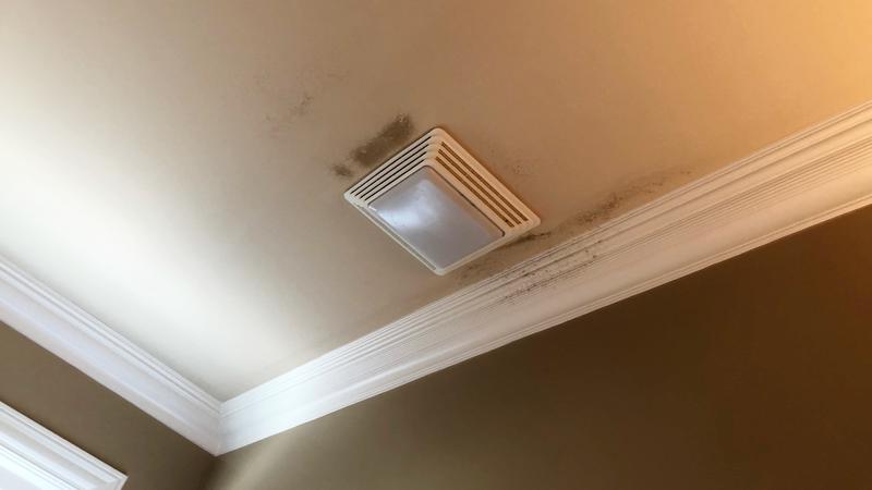 Mold on bathroom ceiling near fan.