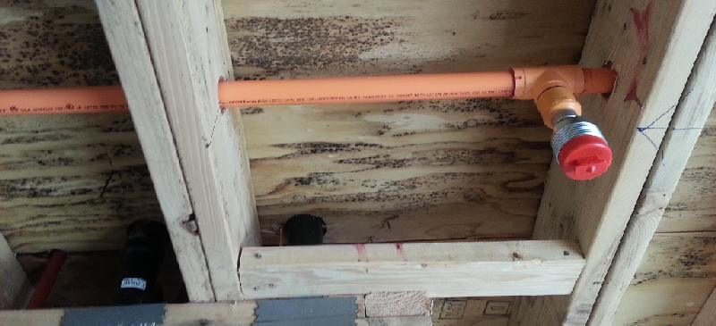 Mold growth on new construction home. No testing needed.