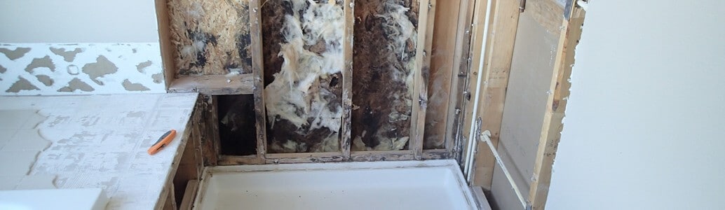 Mold In The Shower Causes How To Clean It Environix - How To Test For Mold Behind Shower Wall