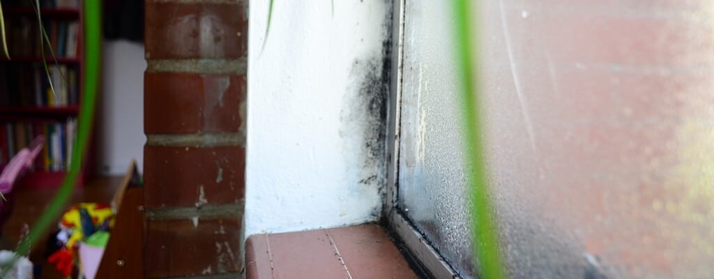 mold single pane window