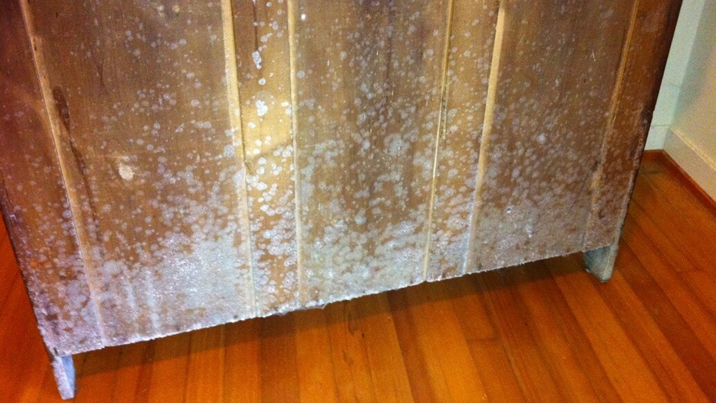 Mold On Furniture The Causes And, Cleaning Mold In Kitchen Cupboards