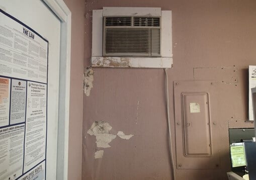 Upper portion of water damaged wall with mold growth.