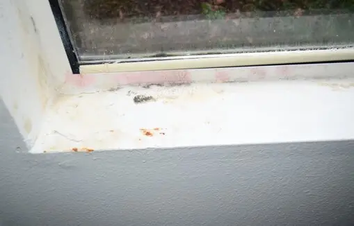 Wet Window Sills From Excessive Window Condensation