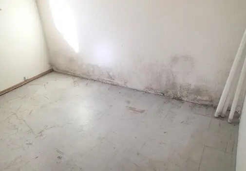 Mold growth observed on walls likely from previous roof leak