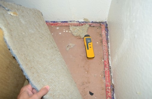 Elevated Moisture Noted In Subflooring 