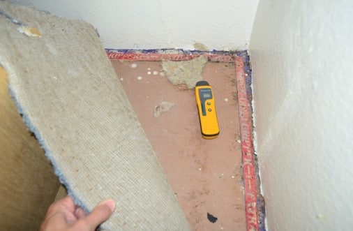 Elevated Moisture Noted In Subflooring