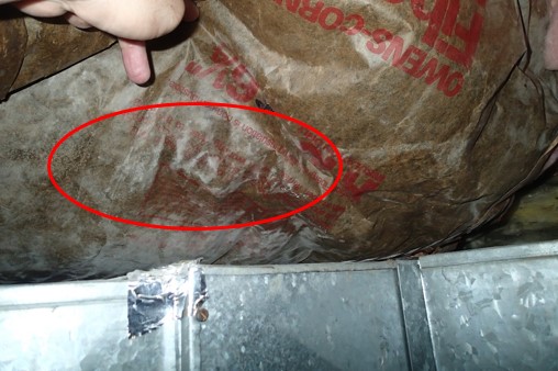 Potential mold growth on some insulation around furnace in the basement. Insulation to be replaced by client.