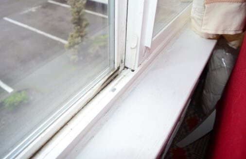 Minor Amounts of Mold Noted in Window Channels