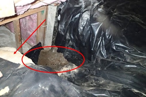 Directly under the stairs. No vapor barrier and mild mold growth on the uncovered soil.